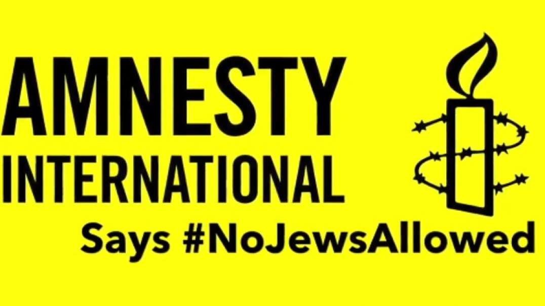 Amnistía internacional vs. Sion.