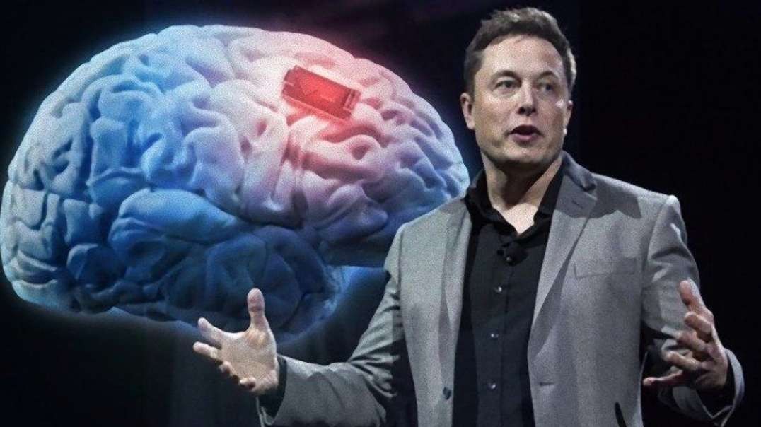 Elon Musk Exposed