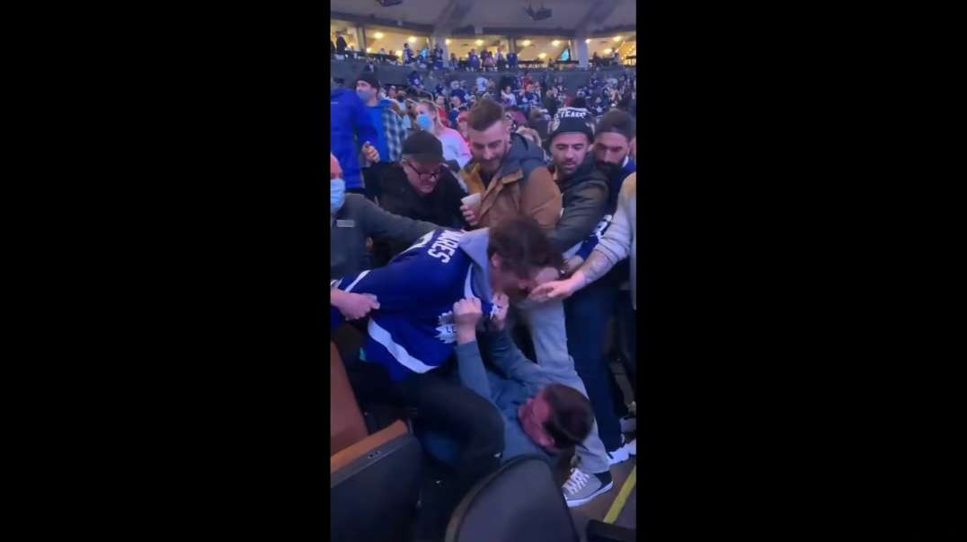 FIGHT BREAKS OUT IN THE STANDS AT LEAFS GAME...