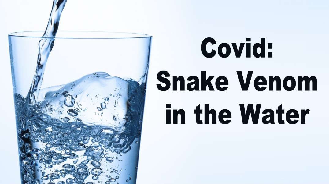 COVID - Snake Venom in the Water