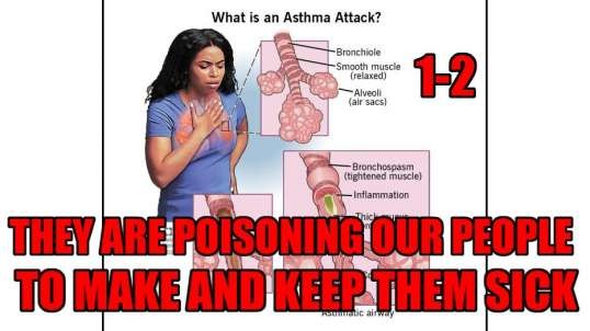 The Food They Feed Us Causes Our Inflammations This Is Why We Want Our Own Land Israel 1-2