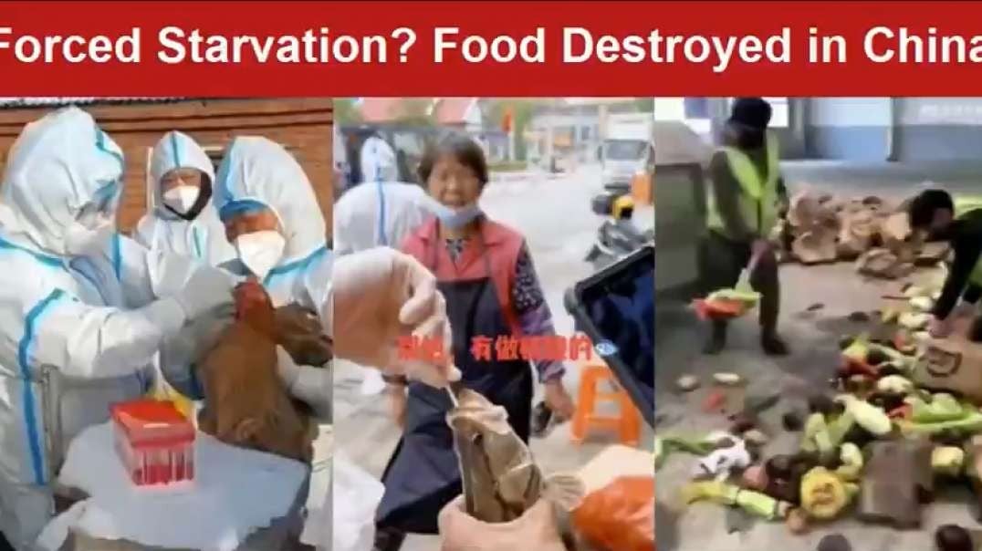 Destruction of Food Begins in Shanghai with Fences Installed to Keep People Locked Down