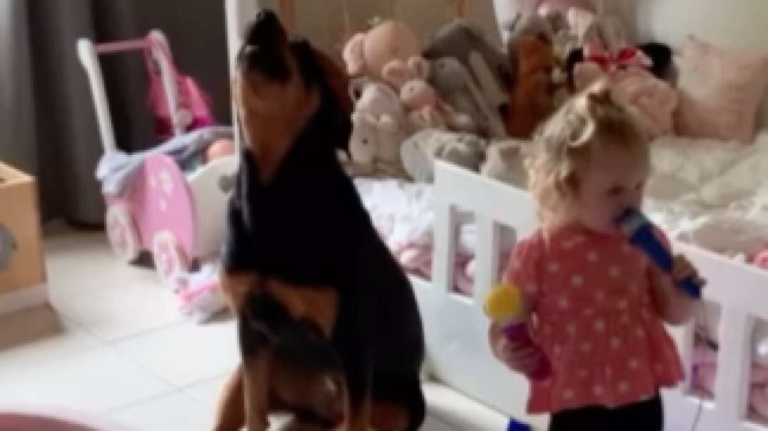 Rottweiler & Toddler Sing Together