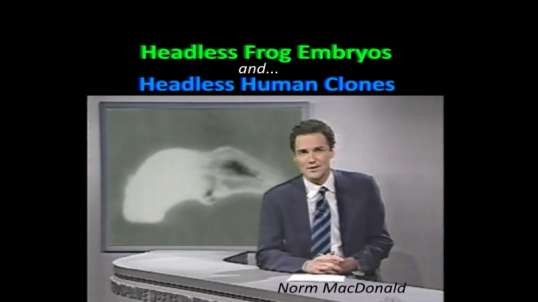Norm MacDonald covers 'Headless Human Clones and Headless Frog Embryos'
