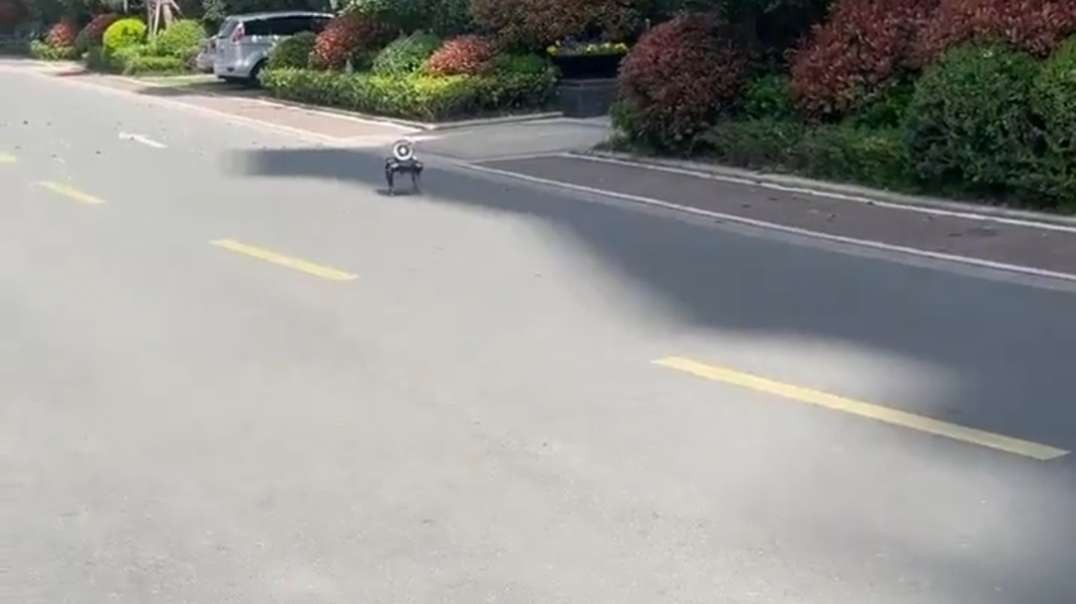 Robot Dogs With Loudspeakers Enforce Shanghai’s COVID-19 Lockdown