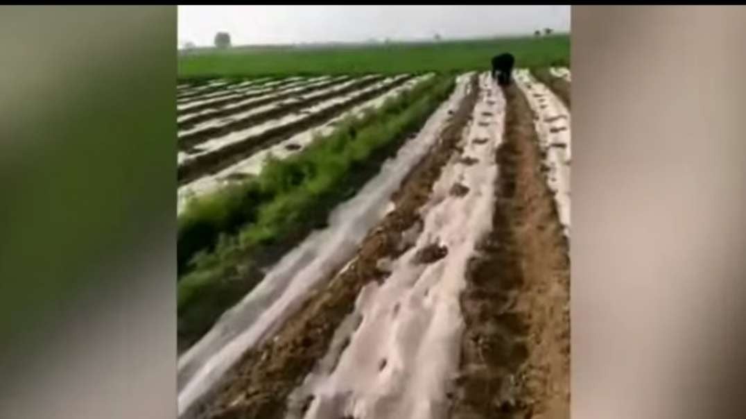 During the spring ploughing season, farmers went to the fields, detained for 3 months, and fined 4,000 yuan. 【 @Mainland People's Livelihood 】_ @Epoch News Network .mp4