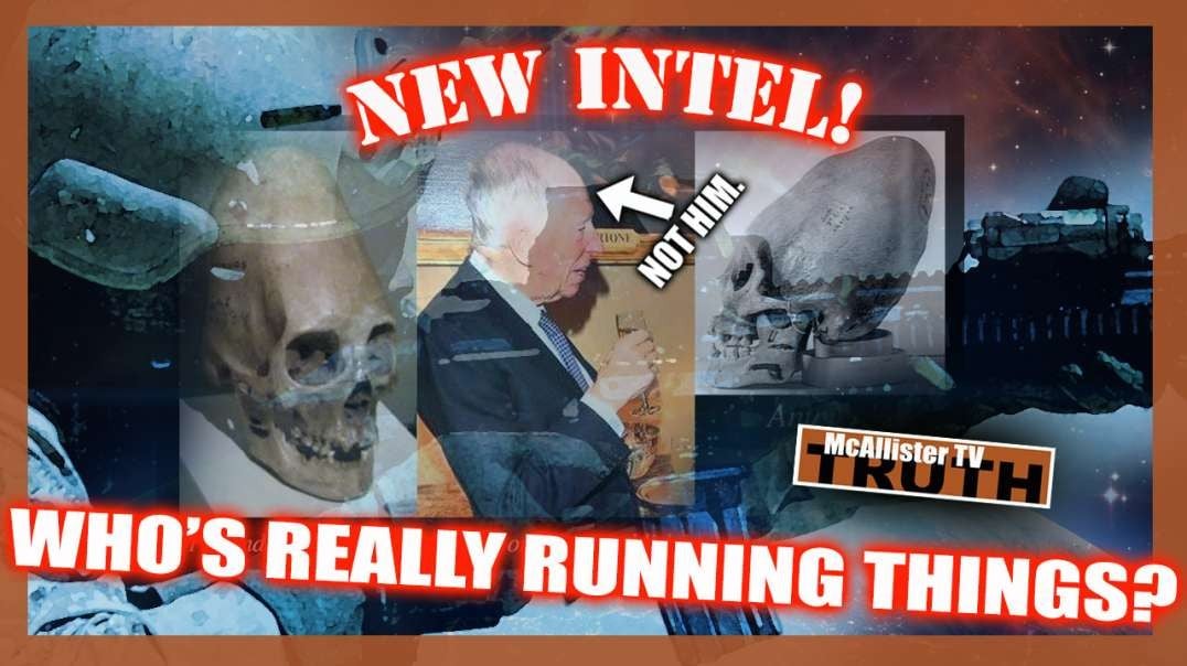 NEW INTEL ON DRACO SHADOW FAMILIES! THE TRUTH WILL CAUSE THE SHEEP TO GO MAD!