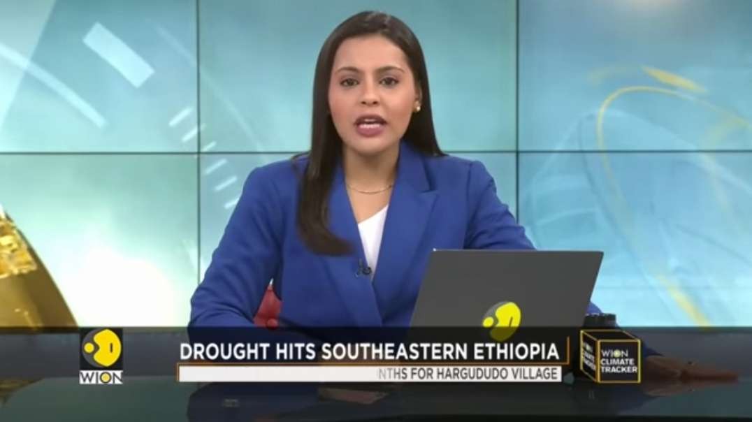 Ethiopia's worst drought in decades, pushes 20 million people to starvation _ WI.mp4