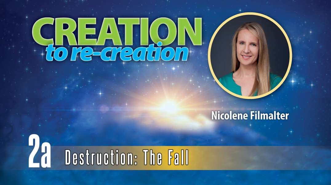 Nicolene Filmalter - Destruction: The Fall - Creation To Re-creation 2a