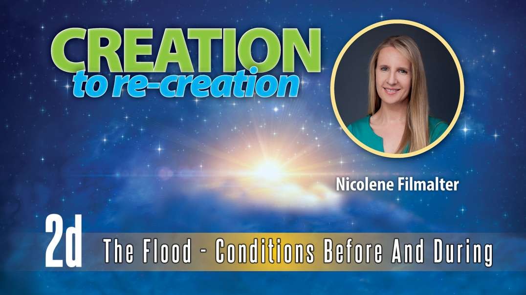 Nicolene Filmalter - Destruction: The Flood-Conditions before and during- Creation To Re-creation 2d