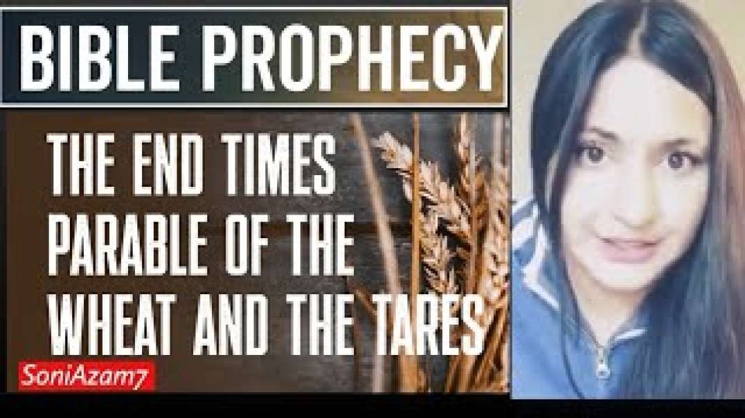 WHEAT And TARES At The END OF THE AGE! NO Pre Tribulation Rapture
