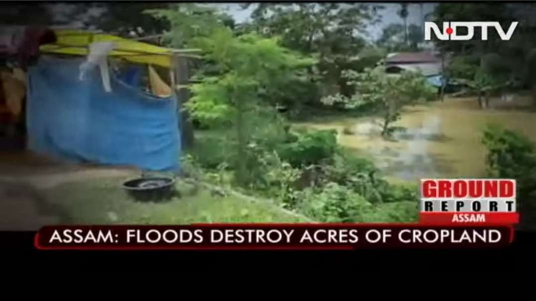 Farmers Use National Highway To Dry Crops As Floods Ravage Assam.mp4
