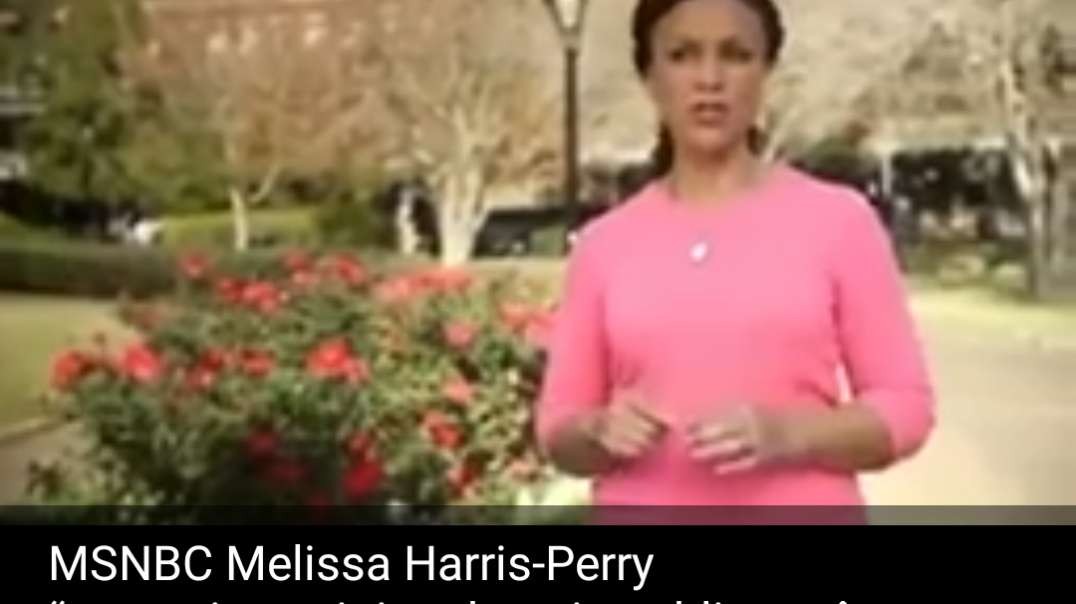 Melissa Harris Perry, a MSNBC black-Jewish Talmudic propagandist of BLM and Klaus Schwab, says that the family concept must be destroyed in this New Talmudic World Order, "the children m