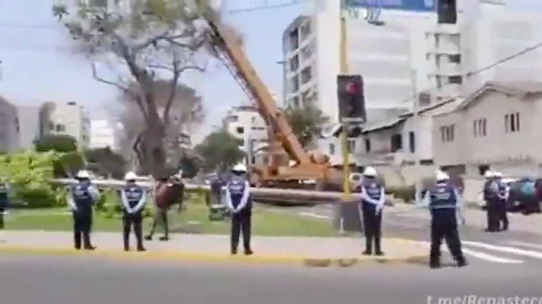 Chileans Begin Process of Removing 5G Towers  Video Fake 5G Tree Taken Down  Disassembled.mp4