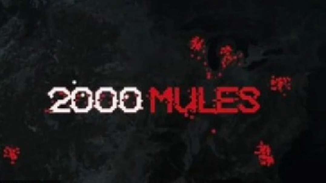 2000 Mules(Documentary).mp4