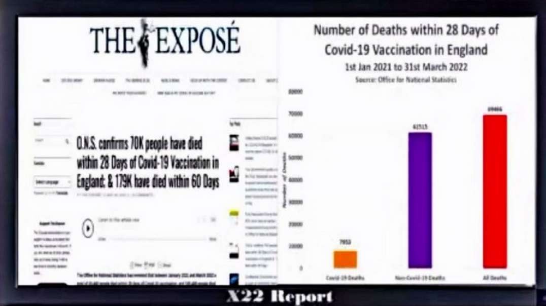 INTERESTING SEGMENT FROM X 22 REPORT ON VIRUSES, VACCINES AND THE PANDEMIC.mp4