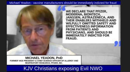 Michael Yeadon - vaccine manufacturers should be immediately indicted for fraud