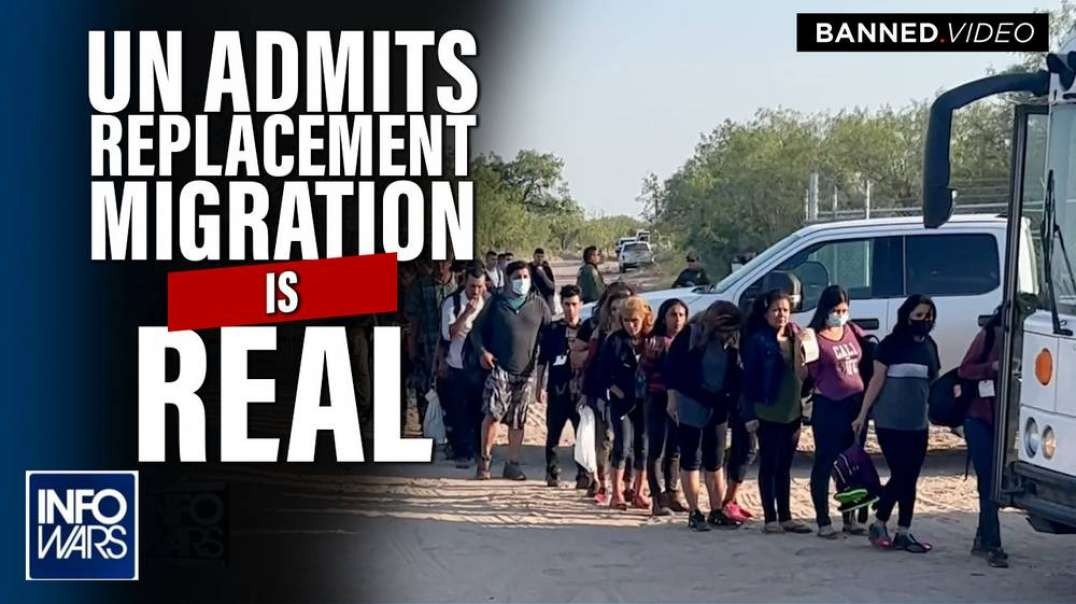 UN Admits Replacement Migration Is Real