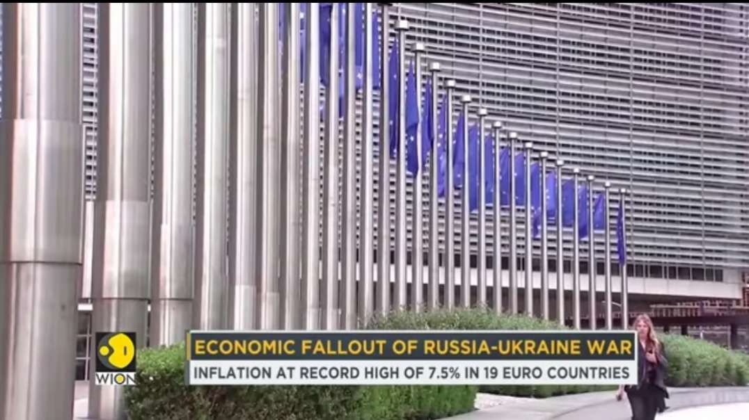 Economic fallout of Russia-Ukraine war, Euro zone inflation hits record high _ W.mp4