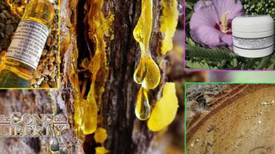 Prepping 402: Tree Resins, The Miracle Salve & Good Health - Guest: David Pruitt