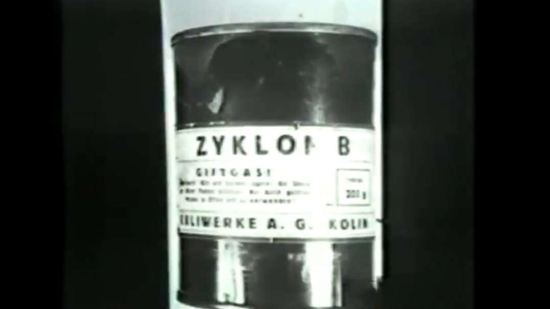 Fritz Berg - Diesels, Gas Wagons and Zyklon-B Weren't Used for Homicidal Gassings