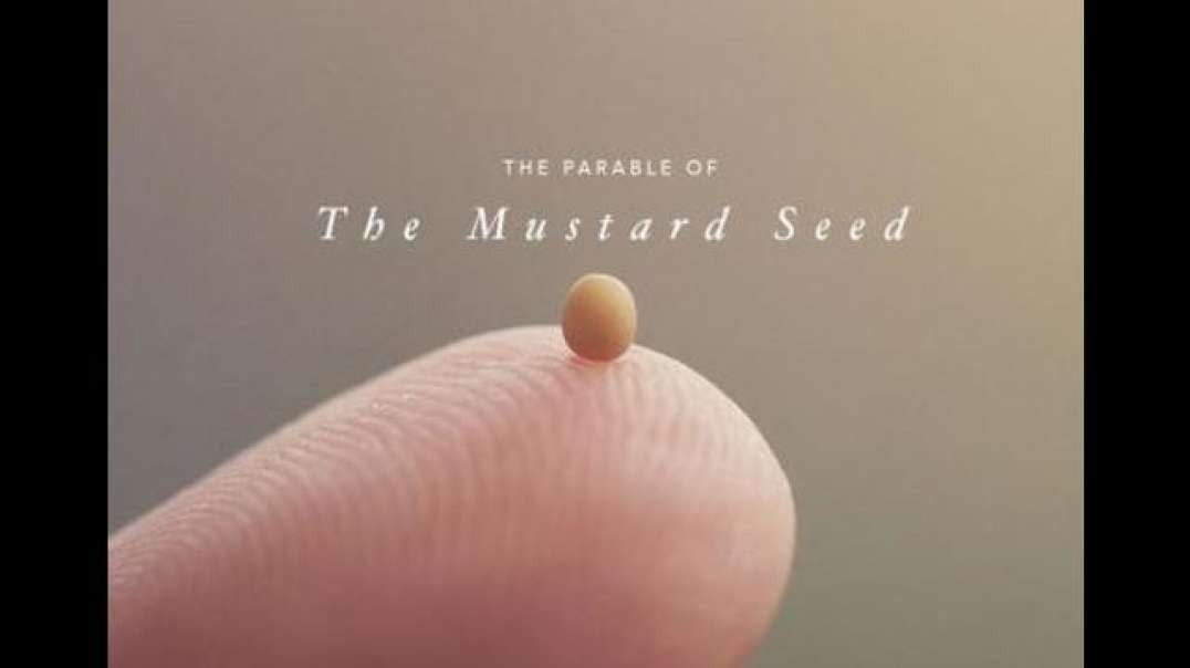 JAMES WICKSTROM - 102 - THE MUSTARD SEED OF LIFE - JUNE 6 2015