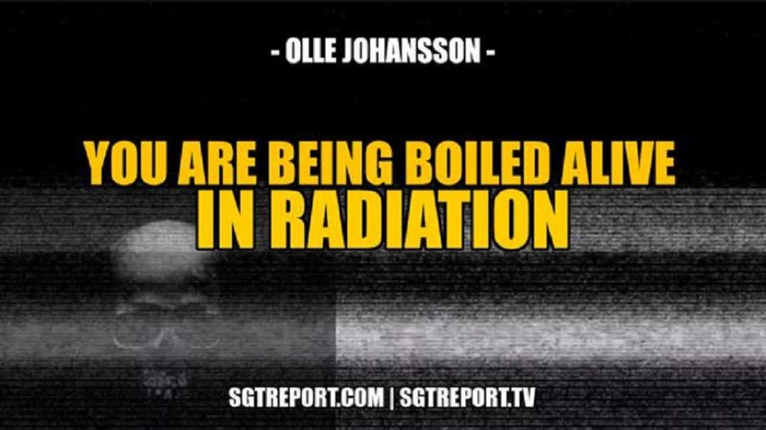 YOU ARE BEING BOILED ALIVE IN RADIATION -- Prof. Olle Johansson