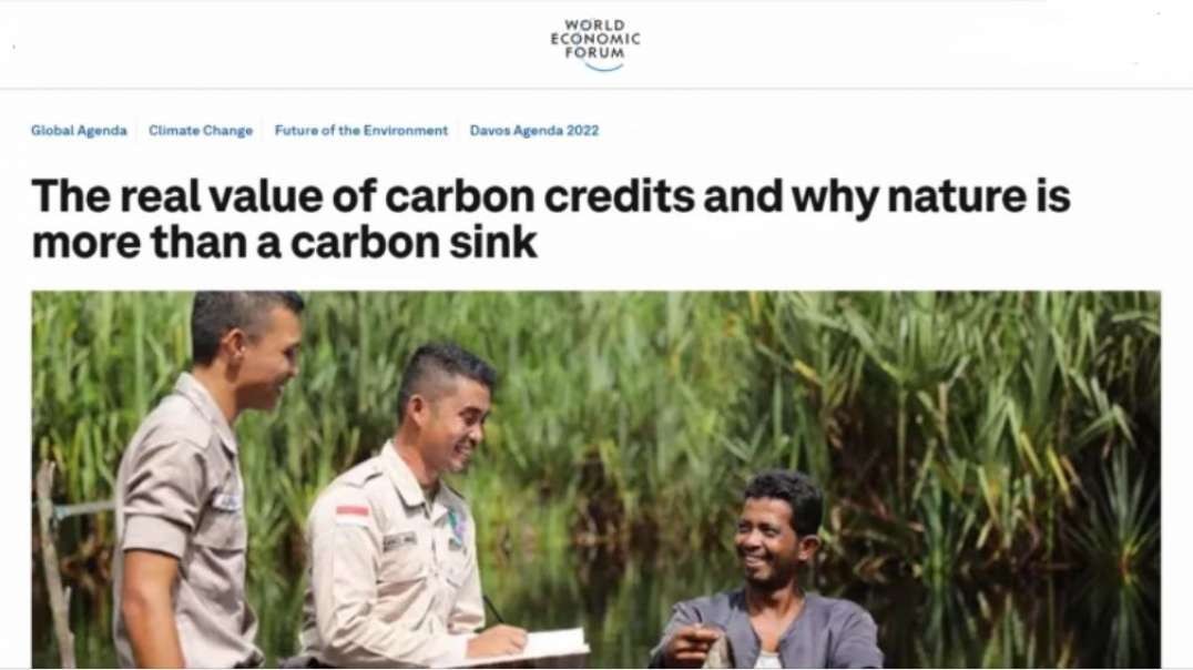 CARBON CREDITS-The Coming Climate Lockdown-The GREAT RESET-Highway Restrictions.mp4