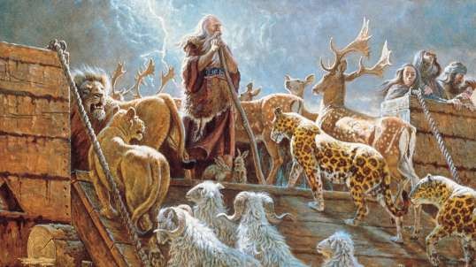 The sincerity of Noah
