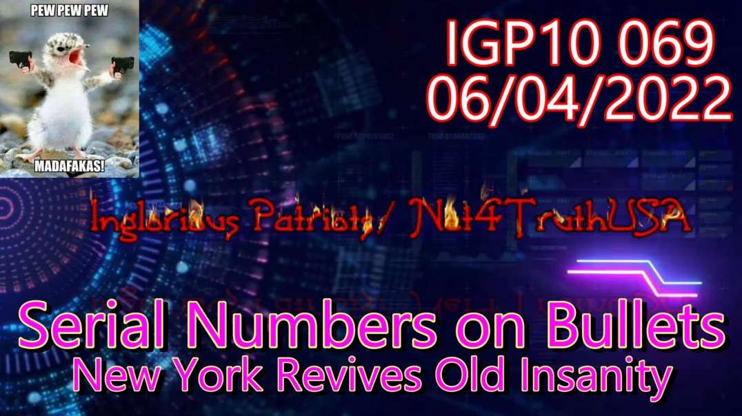 IGP10 069 - Serial Numbers on Bullets NY Redux Insanity.mp4