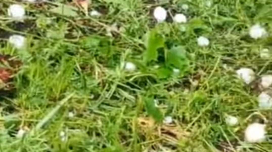 Hail the size of a chicken egg fell in Smolensk, Russia!  (June 11, 2022).mp4