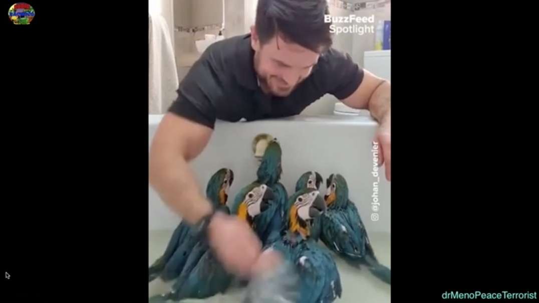 Johan and his six baby macaws, adorable