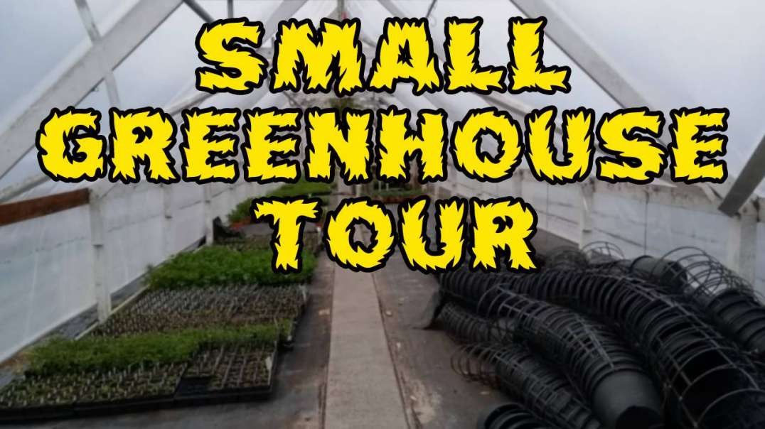 Small Greenhouse Tour Herbs And Vegetables