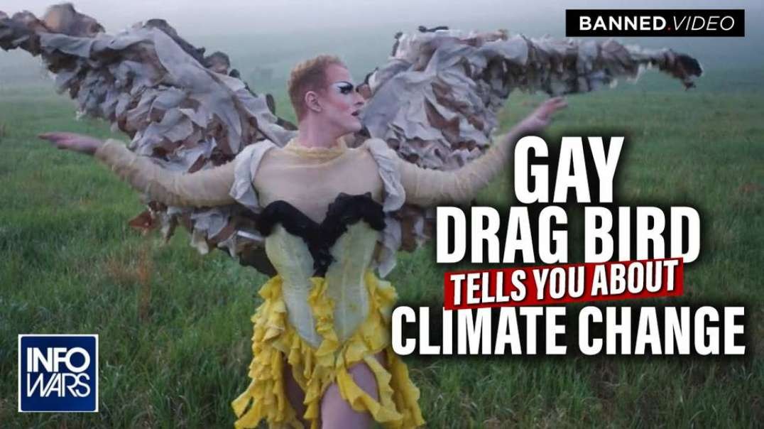 Gay Drag Bird Tells You About Climate Change