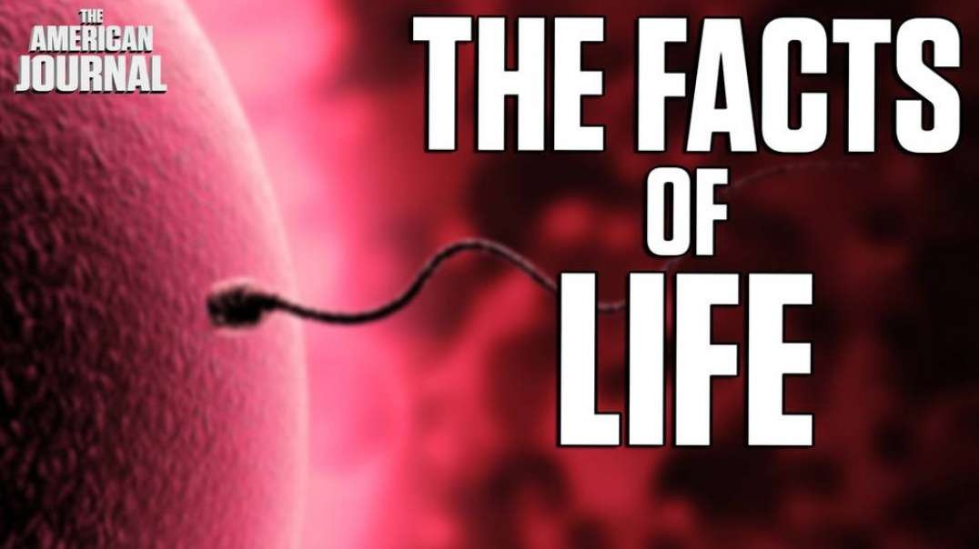 Trust The Science- Life Begins At Conception