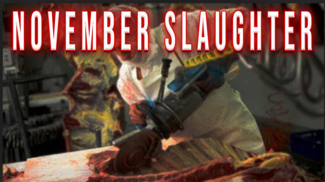 November Slaughter | Making Sense of the Madness
