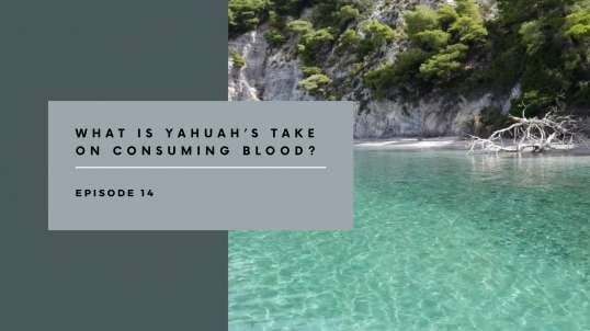 Episode 14 What Is YaHUaH’s Take On Consuming Blood?