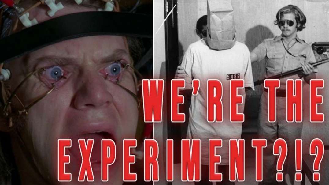 We’re the Experiment?!? | Making Sense of the Madness