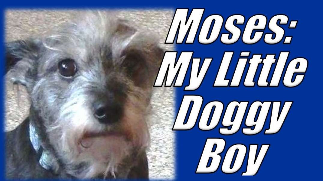 MOSES: MY LITTLE DOGGY BOY