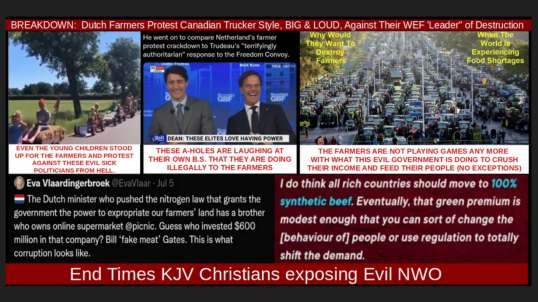 BREAKDOWN:  Dutch Farmers Protest Canadian Trucker Style, BIG & LOUD, Against Their WEF 'Leader" of Destruction