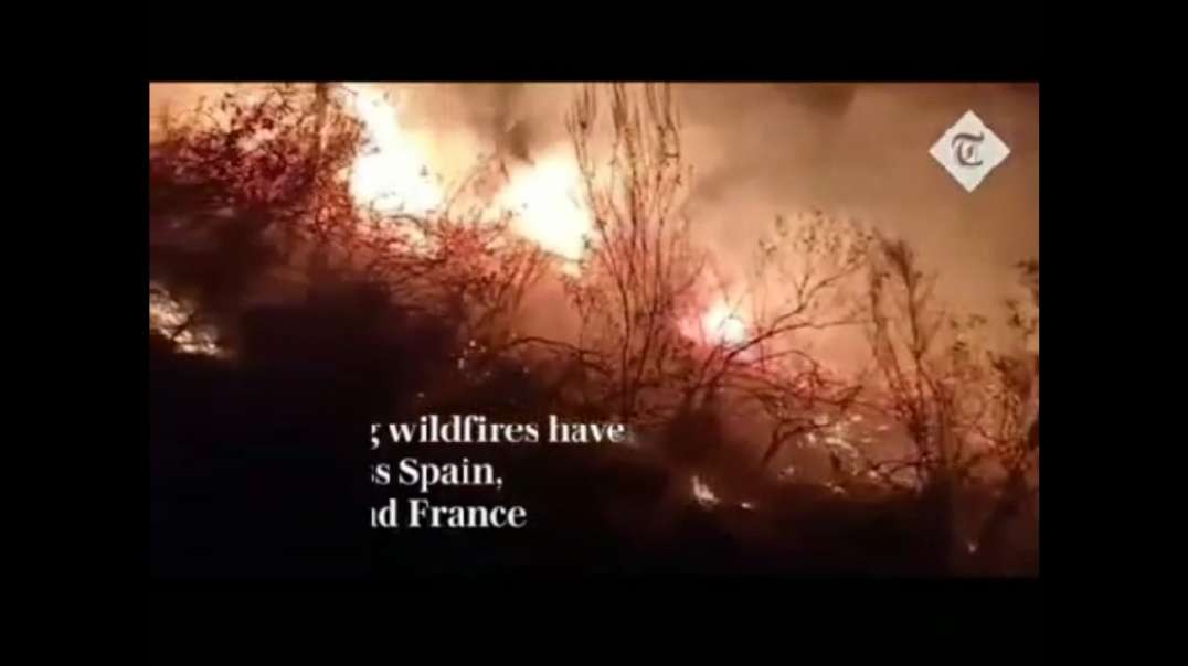 Dangerous wildfires rage in Spain, France and Portugal as heatwave sweeps across Europe