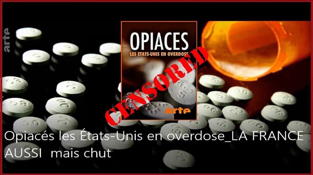 [CENSURE Y🚫UTUBE] Léa Lindt / Opiacés: Les États-Unis en overdose_LA FRANCE AUSSI mais chut (Arte-ZDF 2019)