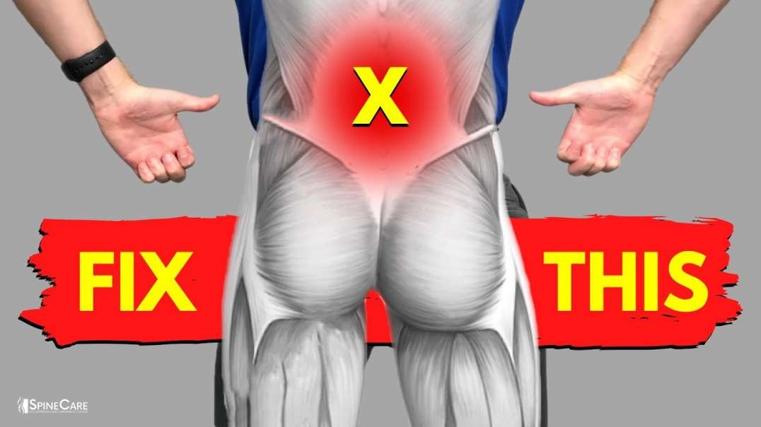 Fix Low Back Pain In one EASY STEP!