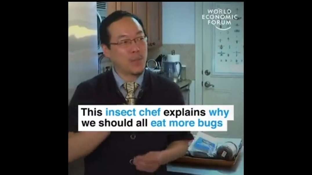 The WEF really, really, really, really wants you to eat the bugs.   You'd think at minimum they would at least start with something that looks marginally palatable and then ease the tip 