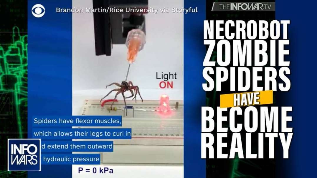 Necrobot Zombie Spiders Have Become Reality