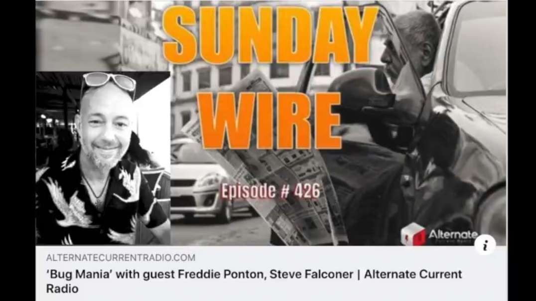 Steve Falconer (Spacebusters) & Freddie Ponton - "Bug Mania" - Sunday Wire w/ Patrick Henningsen