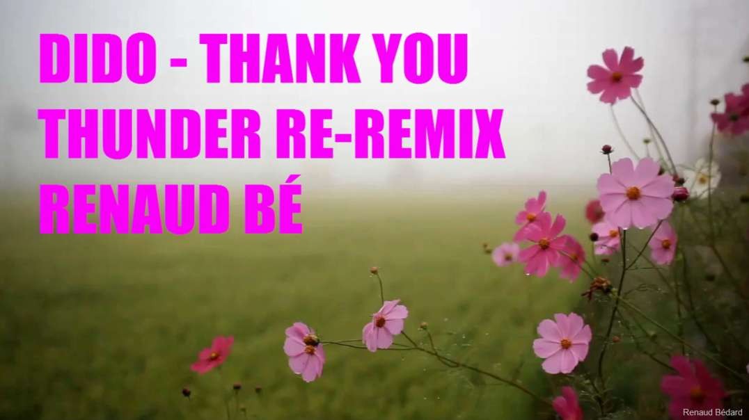 Dido Thank You Renaud Be Thunder Re-Remix