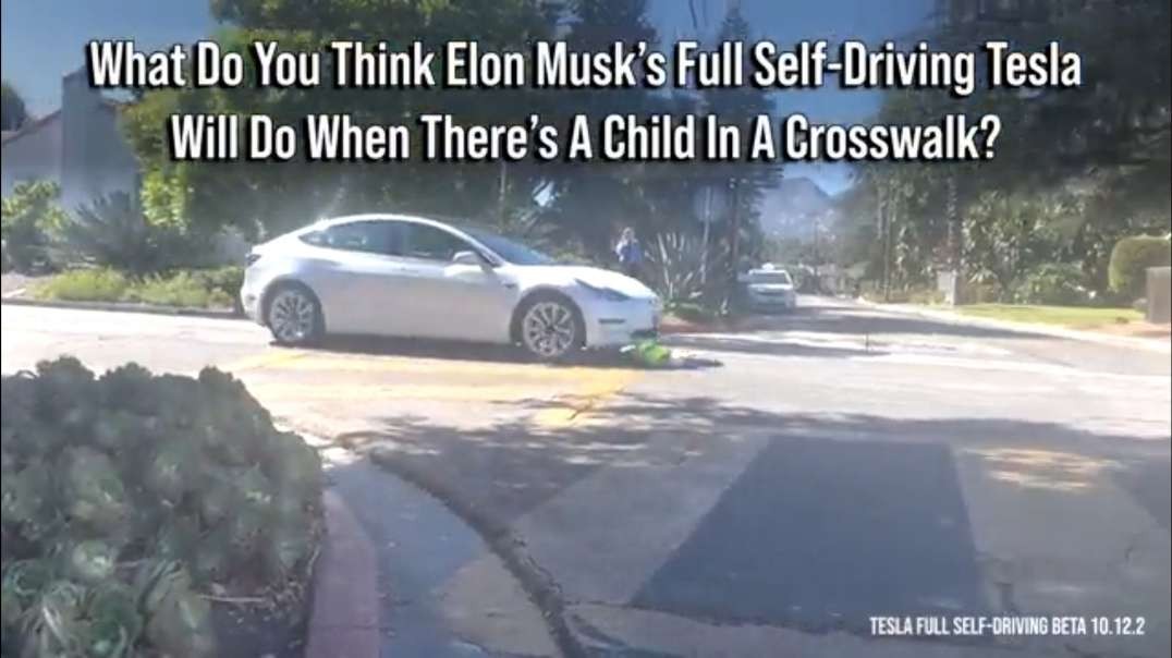 Tesla wants videos of its cars running over child-sized dummies taken down