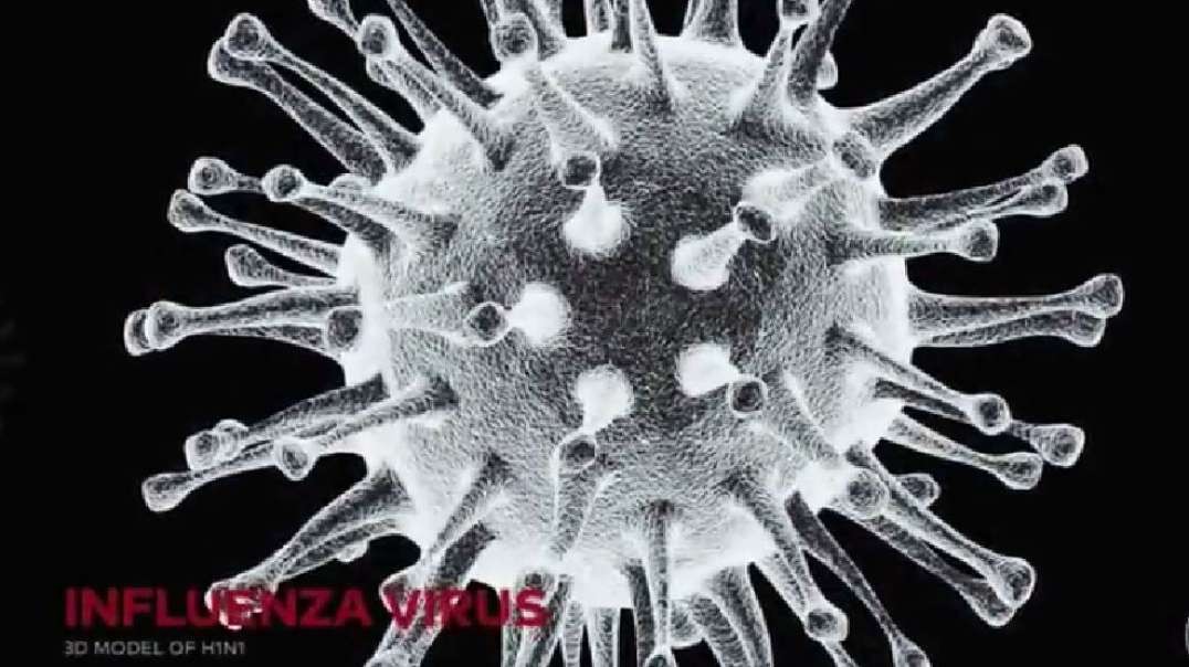 The Plannedemic (2020 documentary).