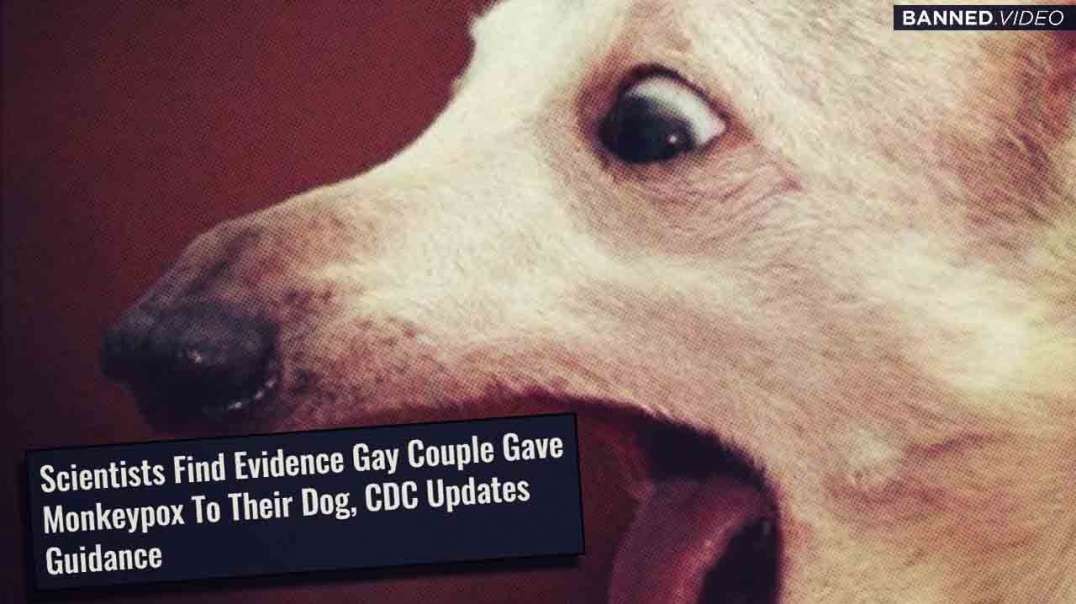 Dogs Contracting Monkeypox On Anus From Gay Pet Owners
